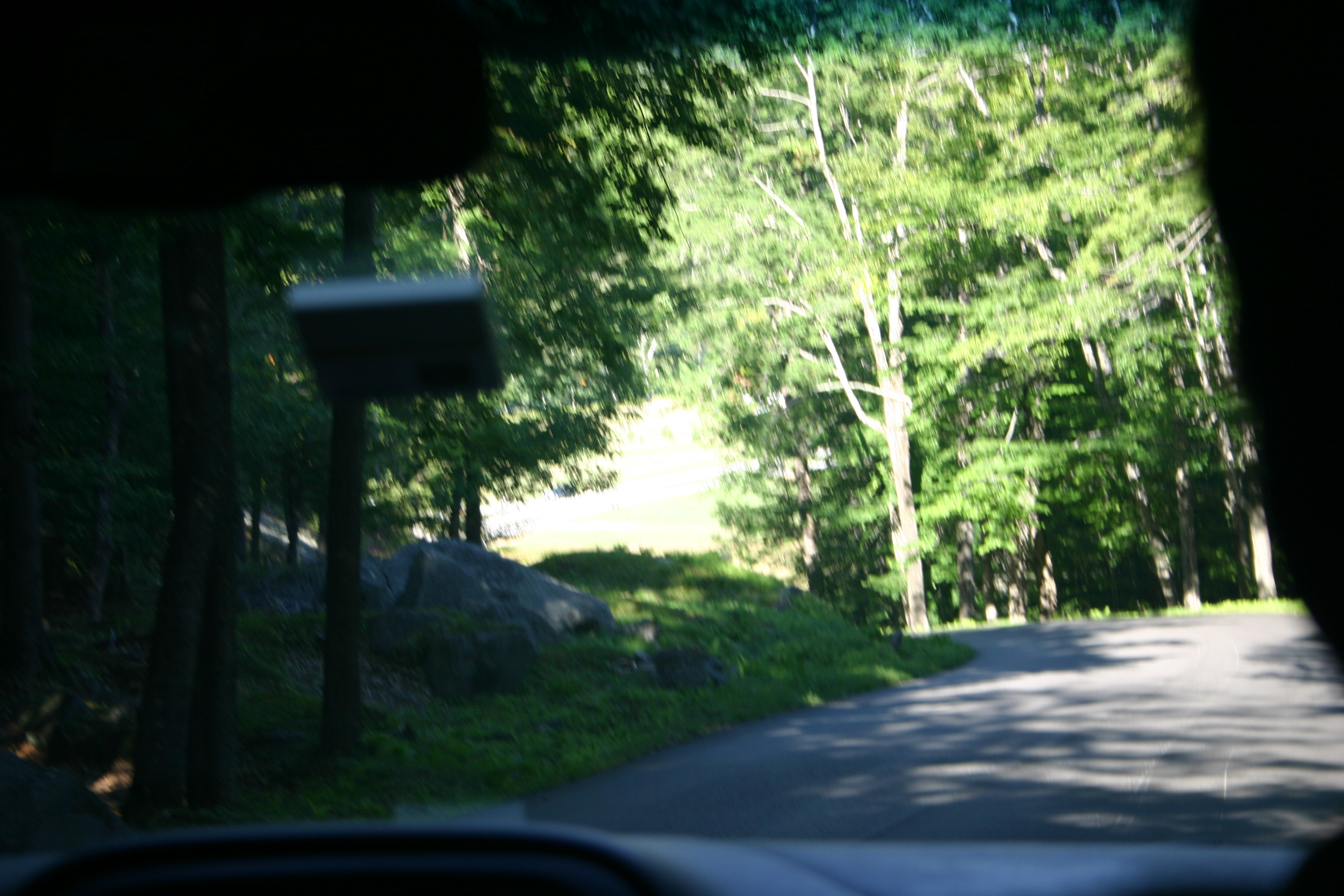 picture 4.